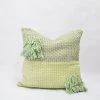 Zuahaza Diamond Feijoa Throw Pillow Cover