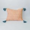 Zuahaza Home Goods Jardín Throw Pillow Cover - Seaglass + Apricot
