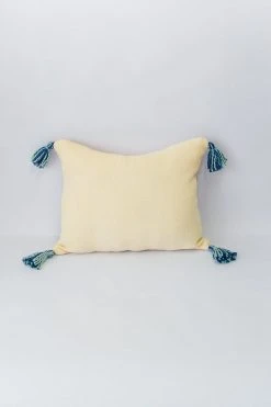 Zuahaza Home Goods Jardín Throw Pillow Cover - Seaglass + Apricot